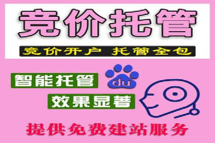 竞价推广实战案例分析